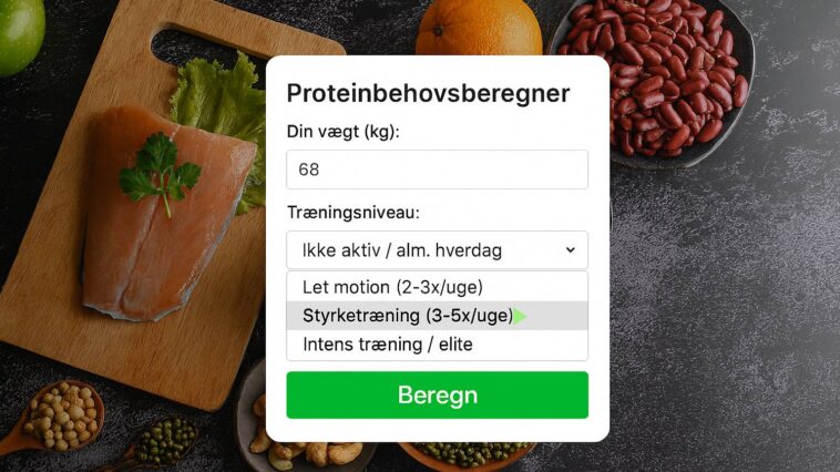 Protein indtag beregner