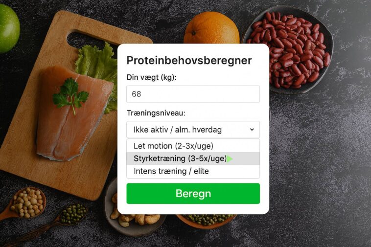 Protein indtag beregner